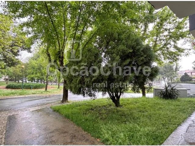 Viseu Viseu 100955995