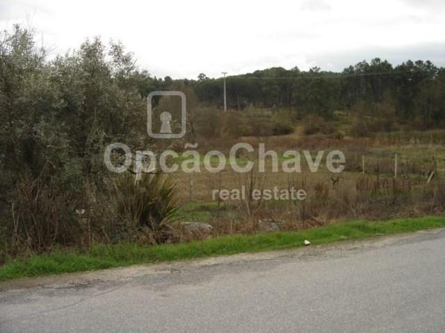 Viseu Viseu 100956000
