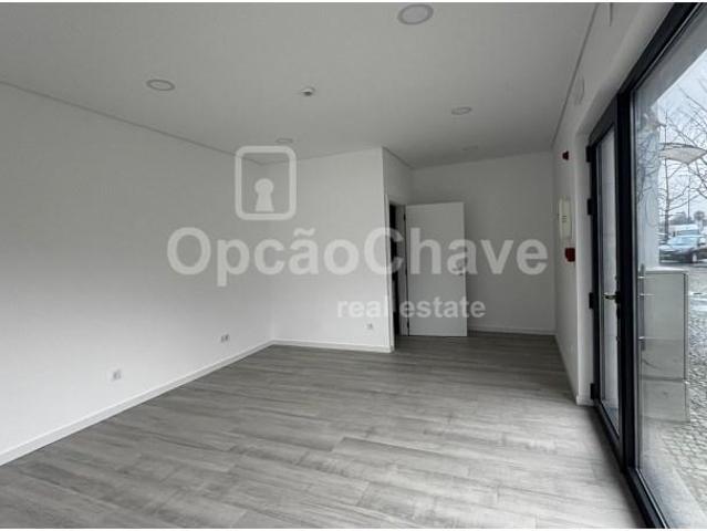 Viseu Viseu 100259477