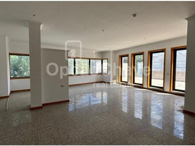 Viseu Viseu 100265233