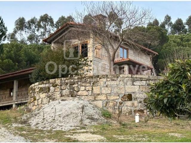 Viseu Viseu 100268376