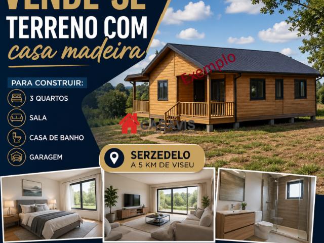 Viseu Viseu 101695598