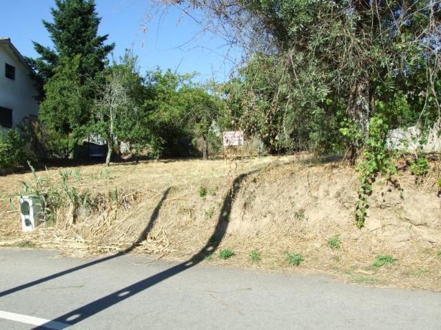 Viseu Viseu 101293334