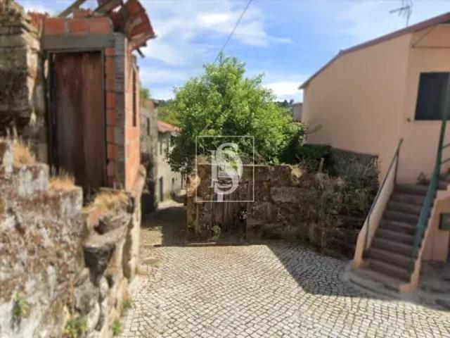 Viseu Viseu 103557791