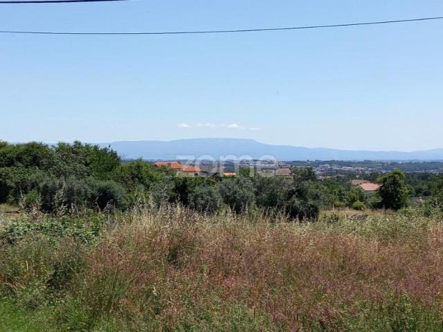 Viseu Viseu 103393559