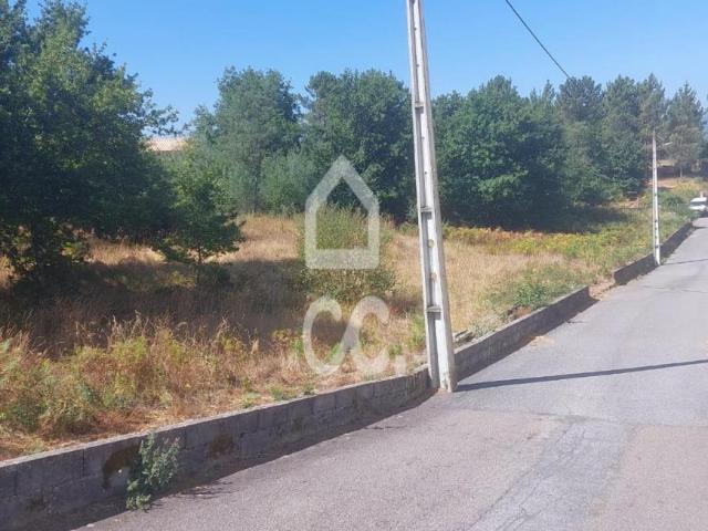 Viseu Viseu 104471657