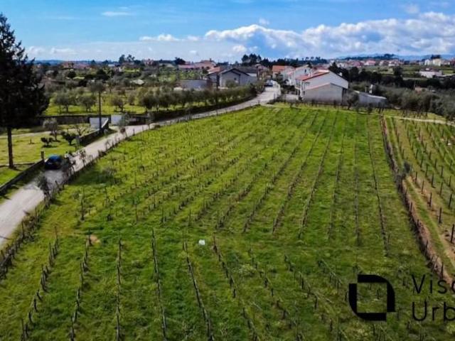 Viseu Viseu 3500 104106888