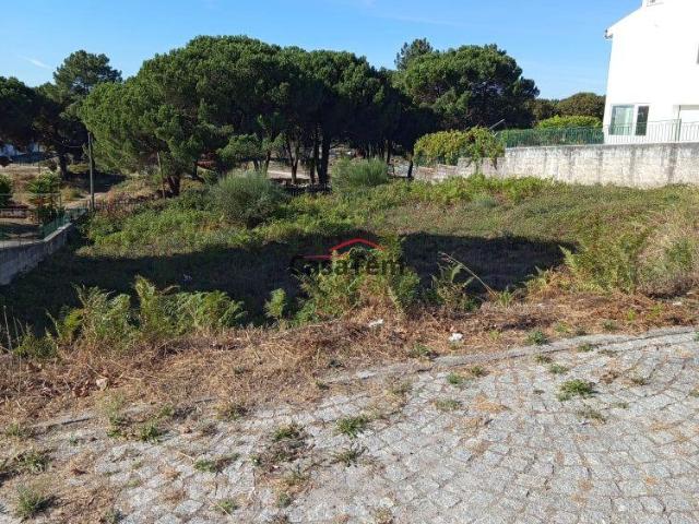 Viseu Viseu 3510 LS97189240
