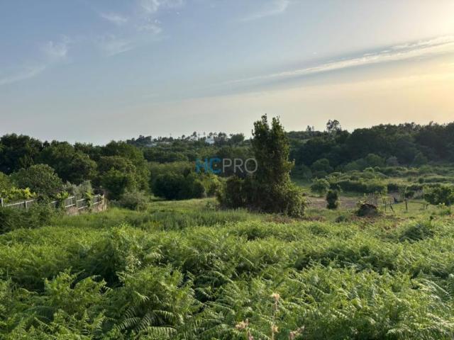 Viseu Viseu 3510 103594609