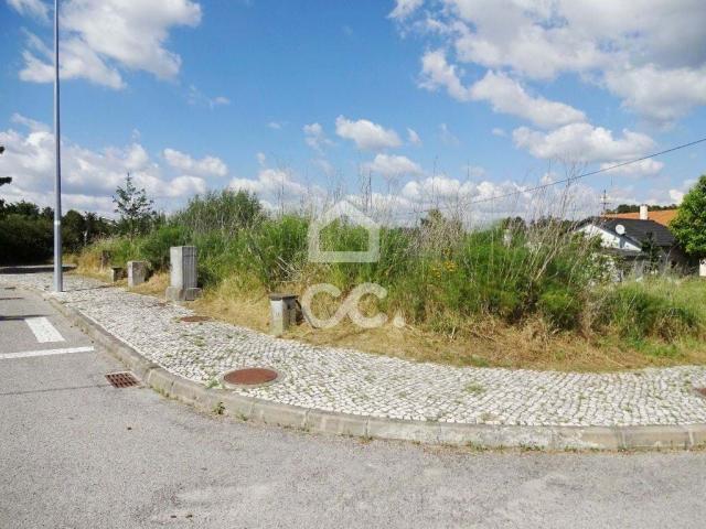 Viseu Viseu LS59674777