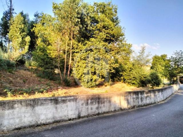 Viseu Viseu LS96848947