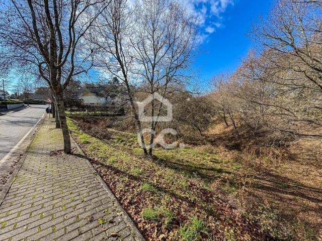 Viseu Viseu LS97909506