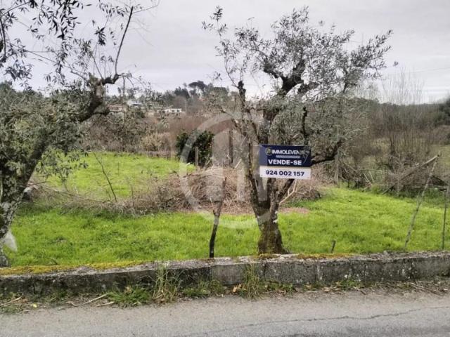 Viseu Viseu LS98106324