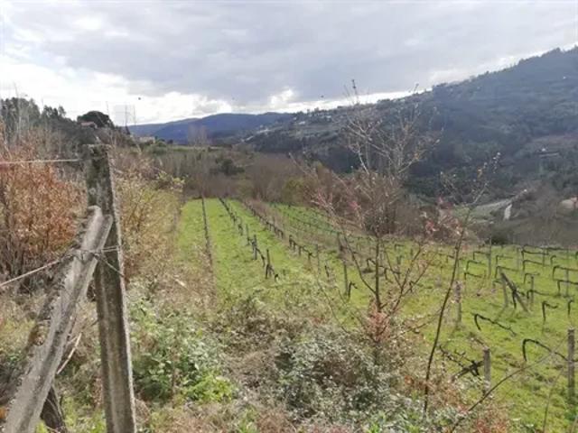 Viseu Cinfães 103410144