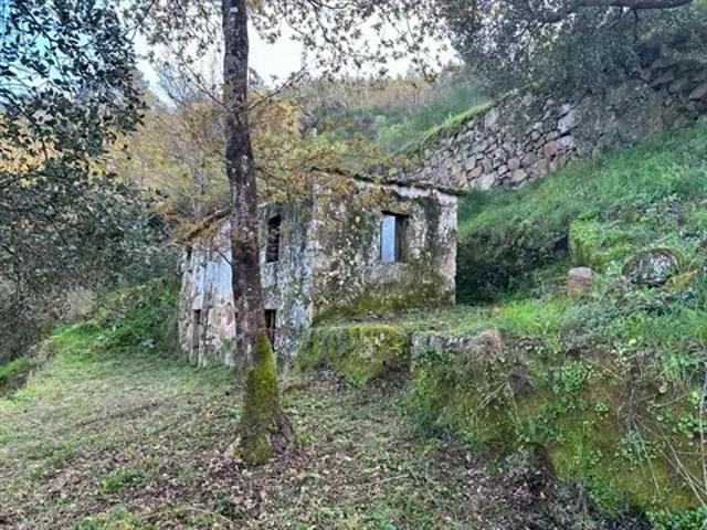 Viseu Cinfães 103417111