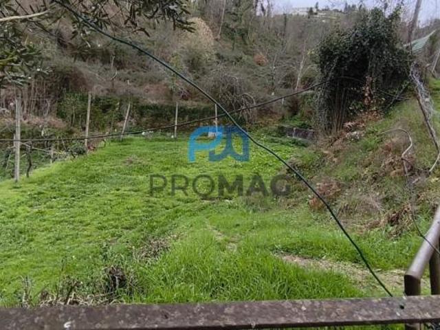 Viseu Cinfães 4690 LS99974124