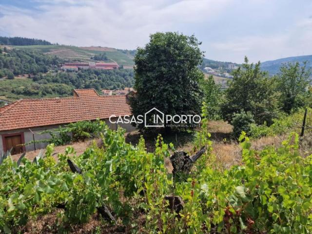 Viseu Lamego 5100 104142171
