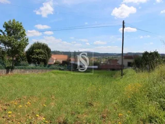 Viseu Mortágua 103558812