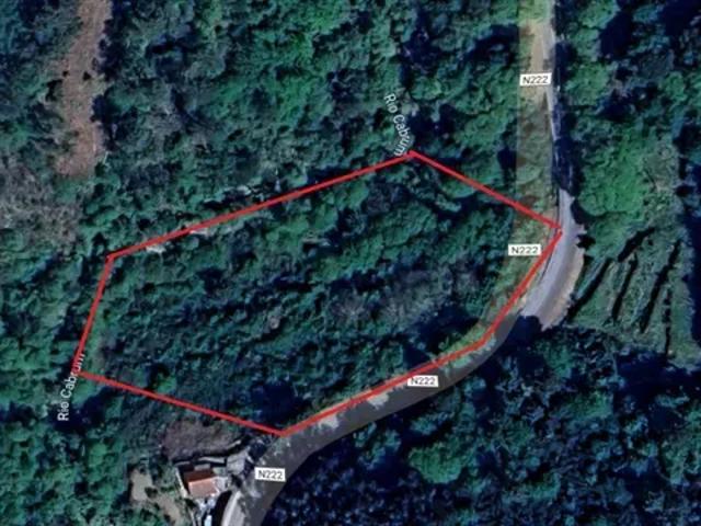 Viseu Resende 103540809