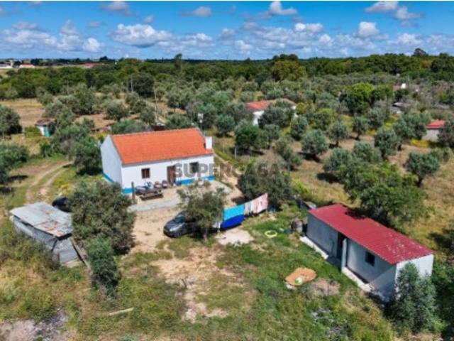 Viva o autêntico Alentejo Seu refúgio em Ermidas do Sado Cova do Gato espera por si