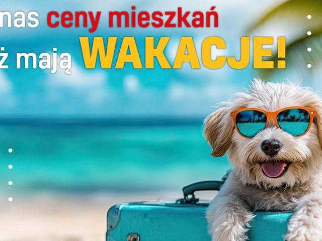 Viva Piast 6