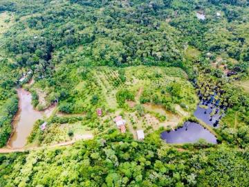 VIVE EN UN PARAISO TROPICAL! VENDO HERMOSA FINCA DE 10 HECTAREAS EN MAYNAS IQUITOS