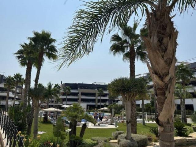 Vive la Dolce Vita en la Costa Blanca en este maravilloso ap. 70m² Orihuela Costa