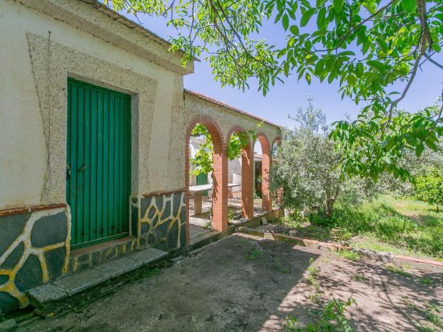 ¡Vive la vida en el campo! Terreno con casa de aperos y cultivos de olivos y frutales en ve