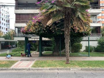ESPACIOS AMPLIOS, LUZ NATURAL VIDA DE BARRIO EN PROVIDENCIA