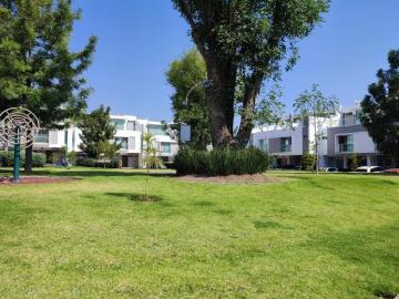 Vive tu historia en Natura Bosque Residencial