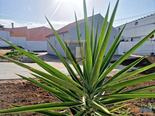Vivenda V3 remodelada lote 900m2, Varatojo, Torres Vedras, Lisboa | 26084075869