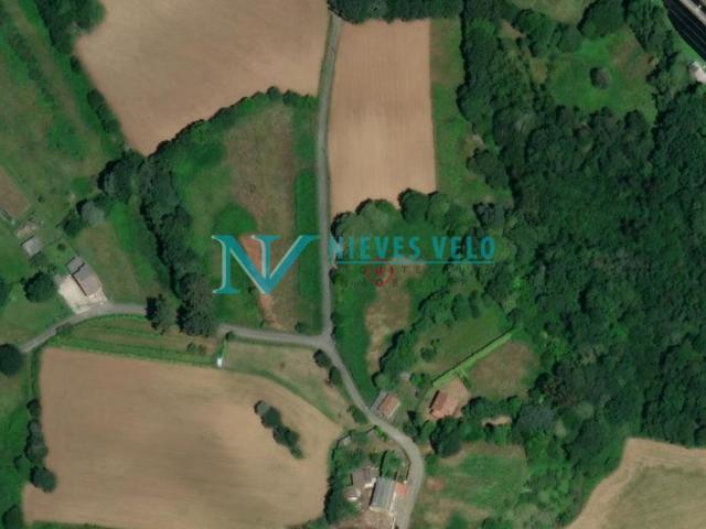 VIVENTE: Finca rústica de 3.915 m2