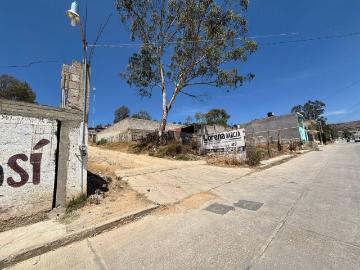 VIVEROS LA LOMA,TULANCINGO, HIDALGO