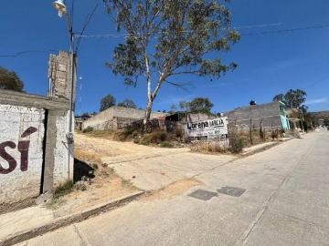 VIVEROS LA LOMA,TULANCINGO, HIDALGO