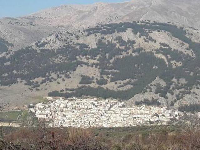 Vivienda Turística de Alojamiento Rural Cuesta La Pila Torres Jaén
