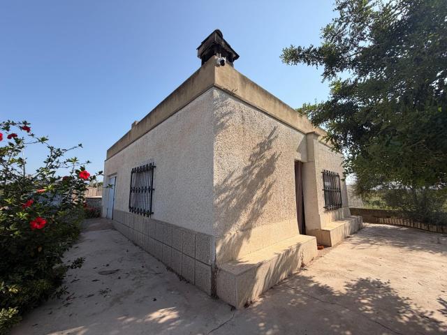 Vivienda urbana con gran parcela rústica de 13.703 m2 en Los Pilares – La Masía Bétera