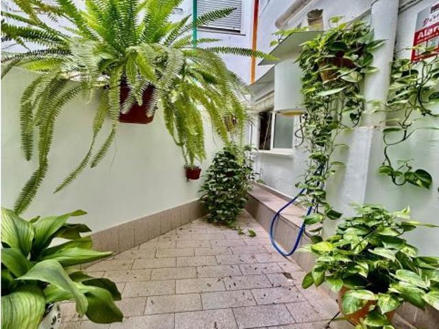 VIVIENDA CON TERRAZAS EN NOU MOLES