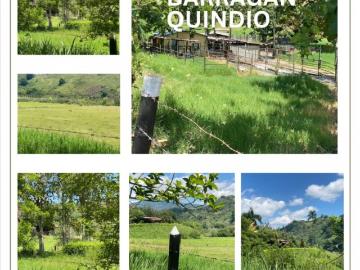 Vivienda de alto standing de 166400 m2 en venta Armenia, Colombia