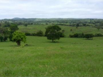 Vivienda de alto standing en venta Aldama, Tamaulipas