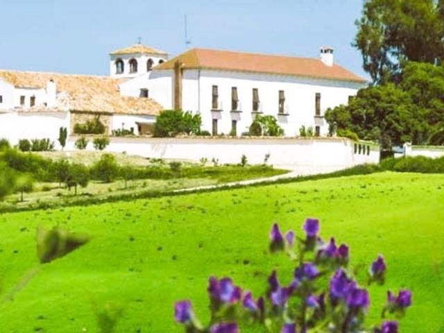 Vivienda de lujo de 1648 m2 en venta Antequera, Andalucía