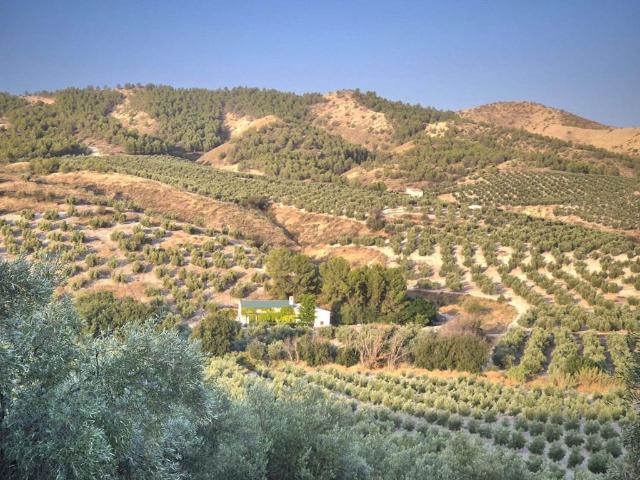 Vivienda de lujo de 400 m2 en venta Peal de Becerro, España