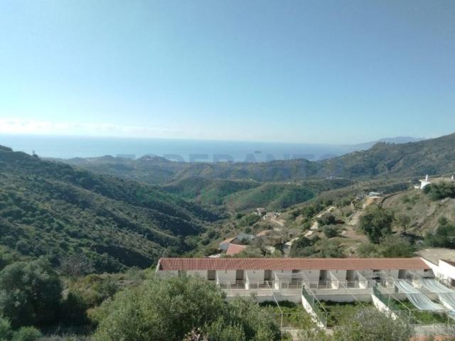 Vivienda de lujo de 40 m2 en venta Olias, Málaga, Andalucía