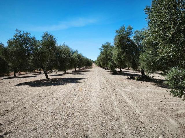 Vivienda de lujo en venta Ronda, Andalucía
