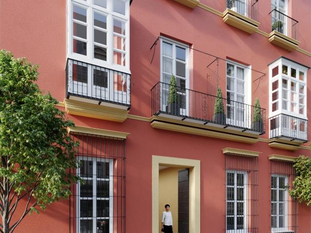 VIVIENDA DE OBRA NUEVA EN CALLE LARGA 48