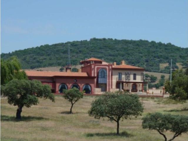 Vivienda exclusiva de 10800 m2 en venta Puebla de Don Rodrigo, Castilla La Mancha