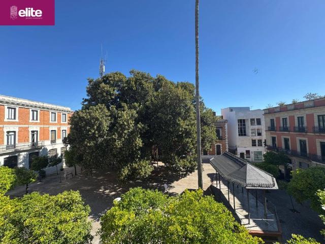 Vivienda exclusiva de 261 m2 en venta Jerez de la Frontera, Andalucía