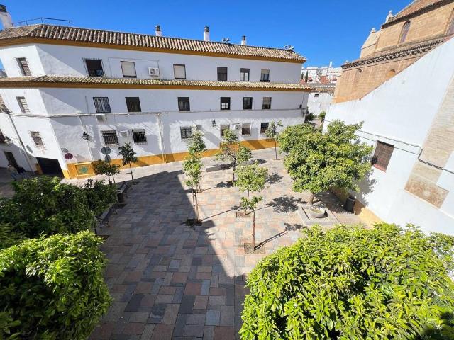 Vivienda exclusiva de 288 m2 en venta Córdoba, Andalucía