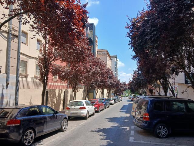 VIVIENDA PARA ESTUDIANTES EN LA ZONA DE COLON