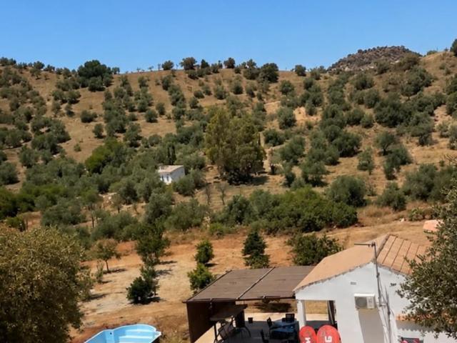 vivienda rural con piscina en almogia