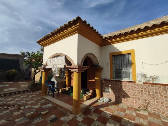 Vivienda rústica en Pinar de Coig